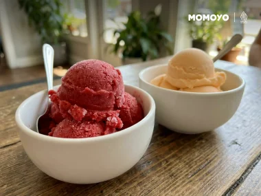 perbedaan sherbet dan sorbet