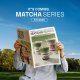 matcha series momoyo