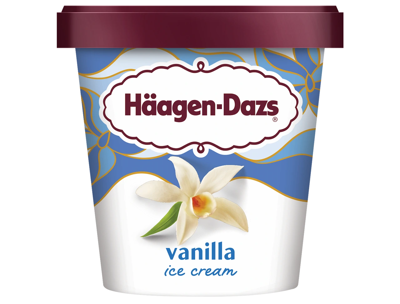 8 Es Krim Vanilla Terenak yang Wajib Kamu Coba 7 ice cream haagen dazs vanilla